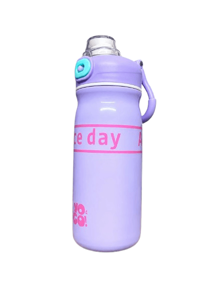 Insulated Water Bottle | 650 ml | Color as per Stock dispatched | Pack of 1 Pc