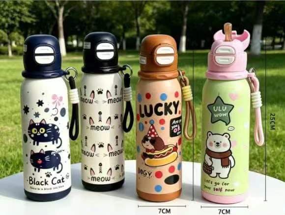 Insulated Water Bottle | 550 ml | Style 2 | Color as per Stock dispatched | Pack of 1 Pc